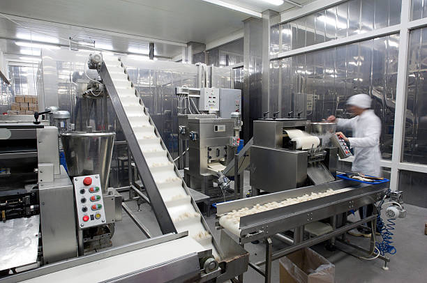 Production line in the food factory. stock photo