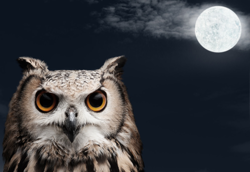 African Eagle Owl lookingtowards the camera at night with moon and clouds