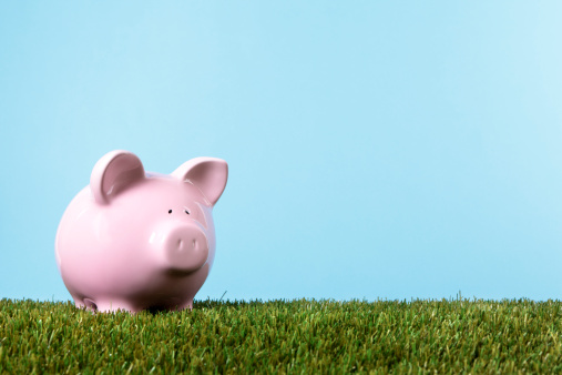 Pink piggy bank with grass and blue sky (studio shot with plain blue background).  Alternative version shown below: