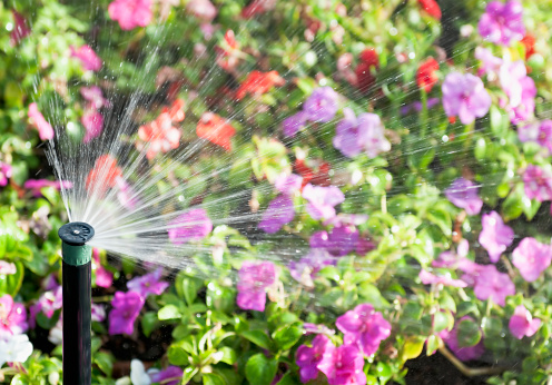 An automatic sprinkler watering a flowerbed.