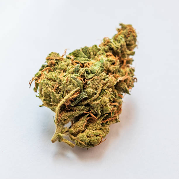 istock Isolated cannabis bud close up on white background 1549626328