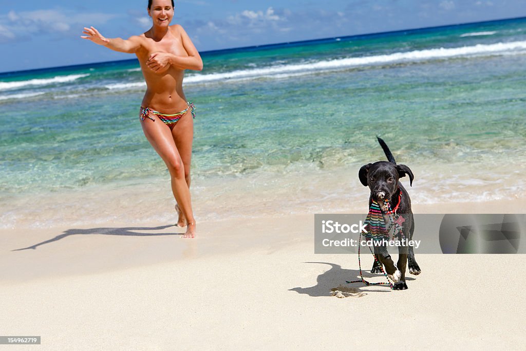 topless donna Rincorrere un cagnolino con furto bikini top - Foto stock royalty-free di Cane