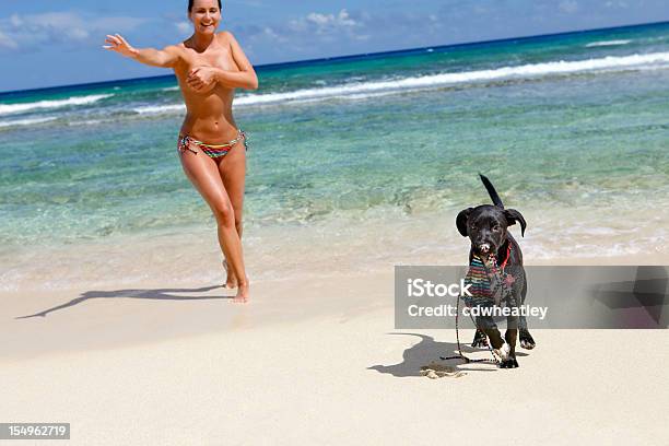 Topless Donna Rincorrere Un Cagnolino Con Furto Bikini Top - Fotografie stock e altre immagini di Cane