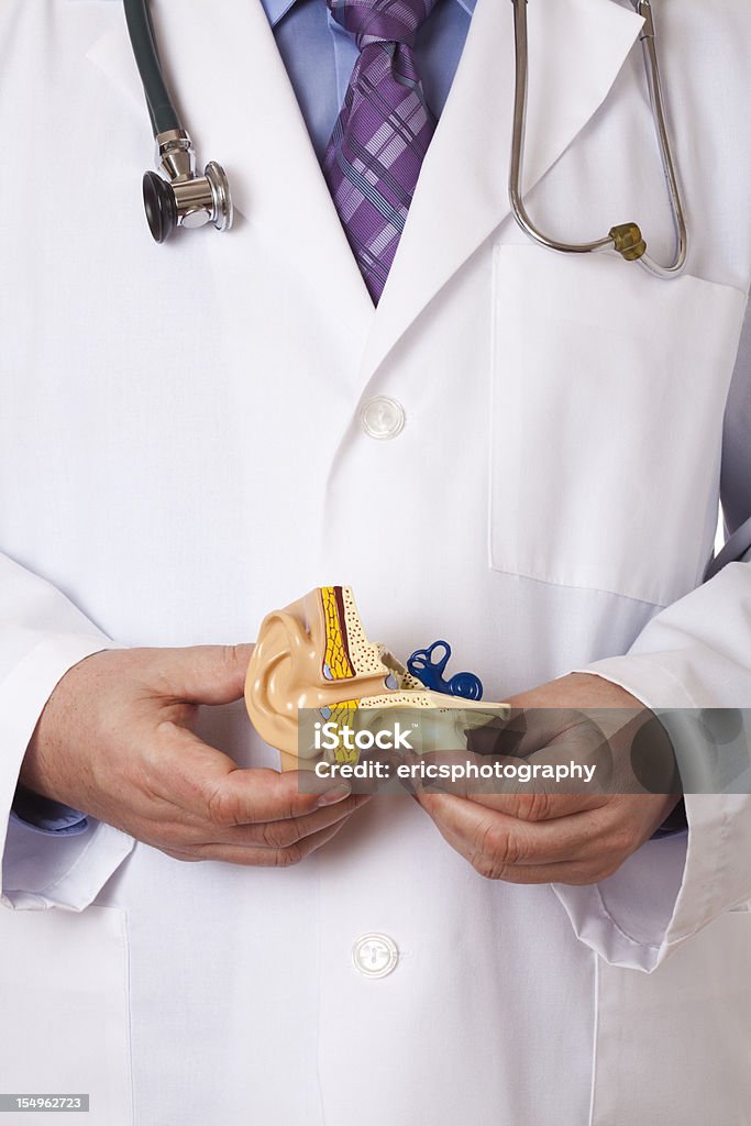 Médico segurando Orelha Humana - Royalty-free Doutor Foto de stock