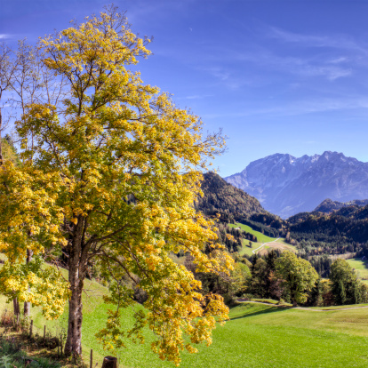 Autumn landscape in Germany's Bavarian Alps.