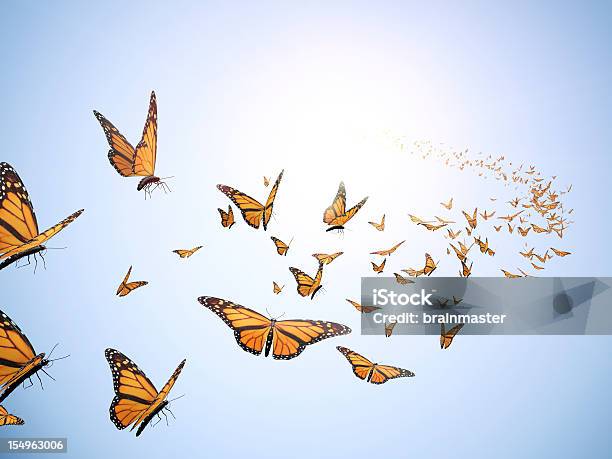 Flying Butterflys Foto de stock y más banco de imágenes de Mariposa - Lepidópteros - Mariposa - Lepidópteros, Volar, Arreglo