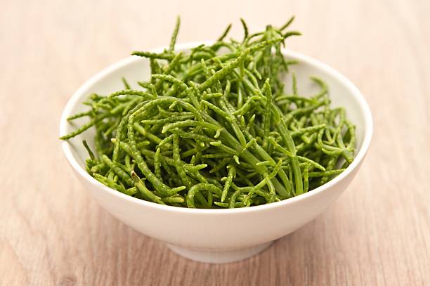 Samphire Samphire or Salicornia salicornia stock pictures, royalty-free photos & images