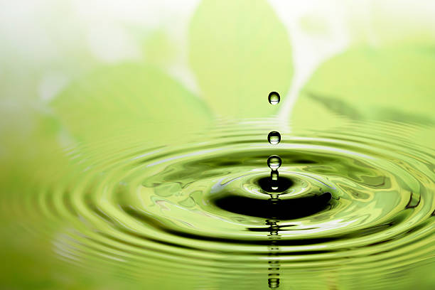 istock Water drops on green nature background 154963641