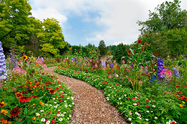 Path thru lush summer flower garden - I Summer garden with a path. day lily photos stock pictures, royalty-free photos & images
