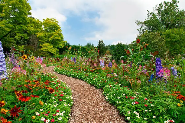 Summer garden with a path.