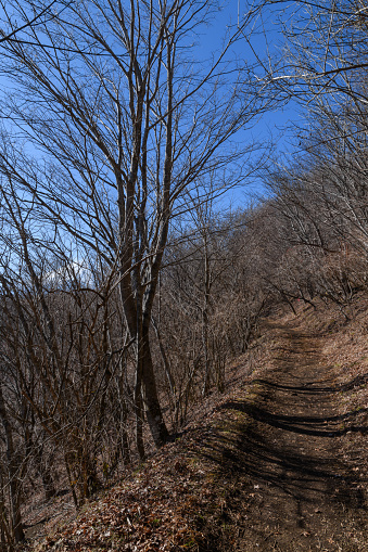 Mountain trail of Mount Ishiwari in early winter