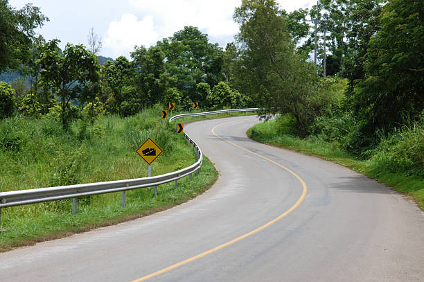 Route asphaltée sharp S-Curve et forêt tropicale - Photo