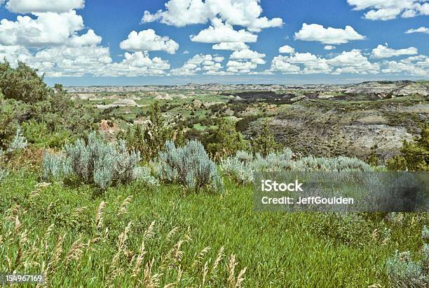 Badland Meadow Grass And Sagebrush Stock Photo - Download Image Now - Nature, North Dakota, Beauty In Nature