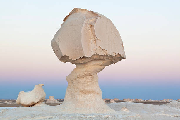 pilz-rock mit hühnchen in ägypten, weiße wüste - white desert stock-fotos und bilder