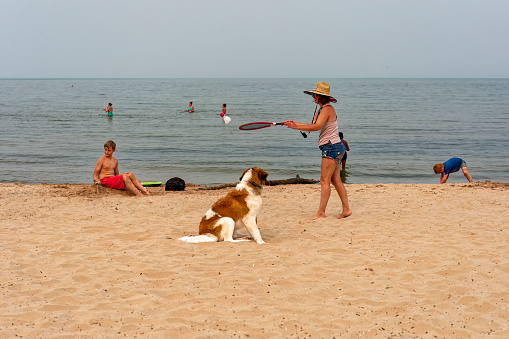 Manitowoc WI USA July 15 2023 : a family with a St. Bernard dog is playing on the beach