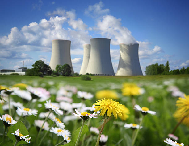nuclear power plant und blühenden wiese - kernenergie stock-fotos und bilder