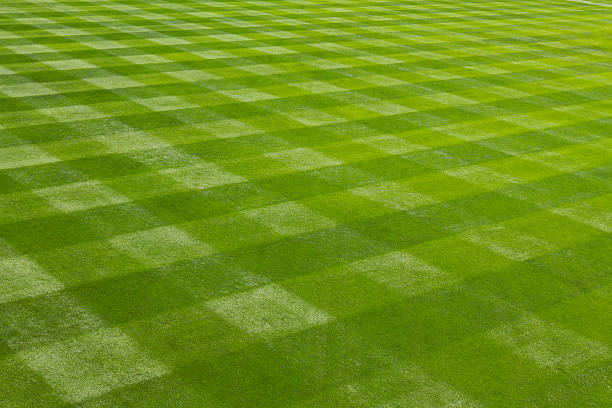 perfectamente mown hierba en el balón en el campo. - campo de béisbol fotografías e imágenes de stock