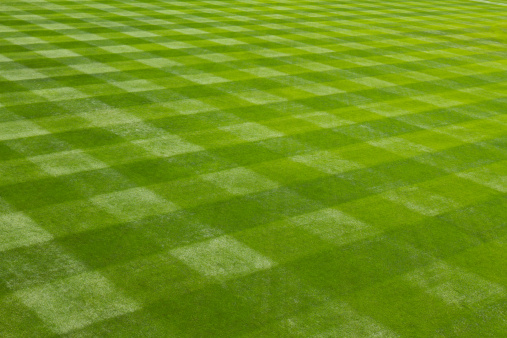 Close-up of soccer field with single line