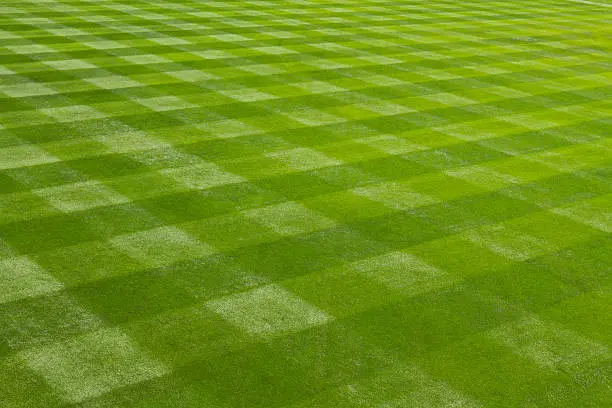 Photo of Perfectly mown grass at the ball field.