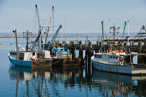 istock Provincetown Fishing Fleet 154969741