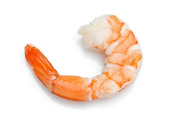 새우요 - shrimp 뉴스 사진 이미지