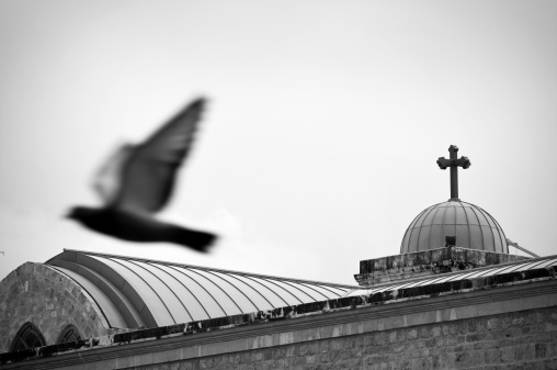 Black and white photograph of a pigeon flying past the roof and cross of St. George Orthodox Cathedral in Beirut, Lebanon