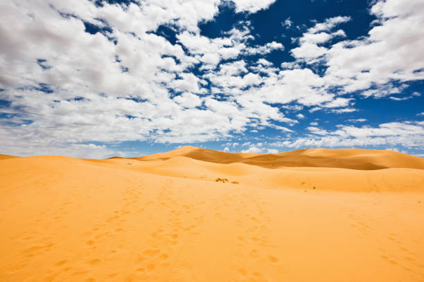 istock Erg Chebbi Sahara Desert Landscape Sand Dunes Morocco 154970570