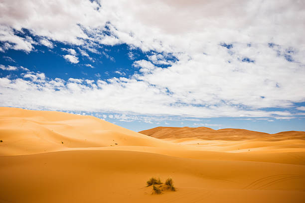 アフリカのサハラ砂漠の孤独な砂丘モロッコ - desert landscape morocco sand dune ストックフォトと画像