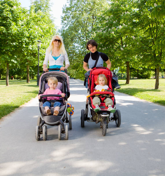 istock Young mothers in a park walking their babies 154971571