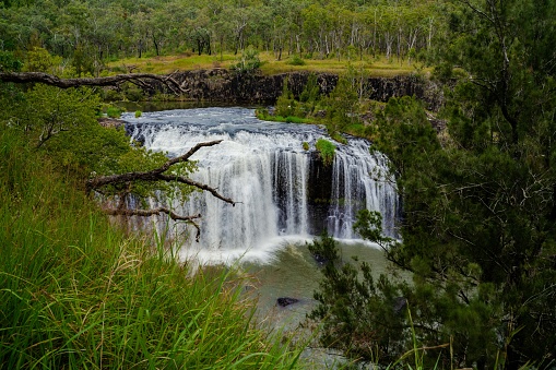 Mill Stream Falls, Atherton Tablelands, North Queensland, Australia, waterfall in Australian native bushland, Cascading waterfall in Australian bush, waterfall with trees,