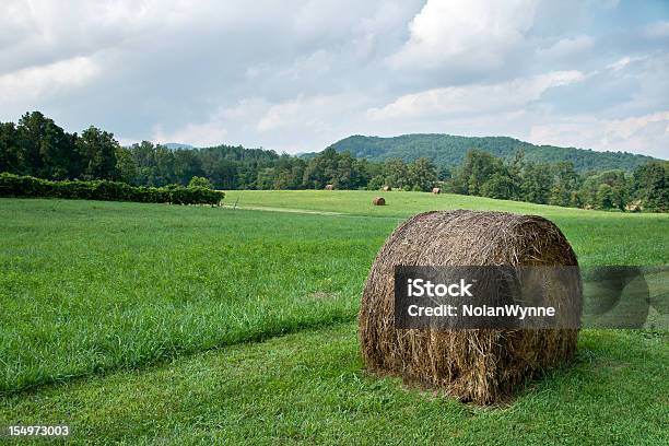 Runda Bale Z Hay - zdjęcia stockowe i więcej obrazów Balot - Balot, Burza, Dostępność