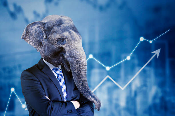 istock Confident elephant-headed businessman with uptrend financial chart background 1549765558