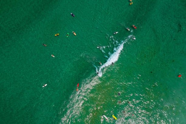 istock Drone aerial view over group of surfers 1549776980