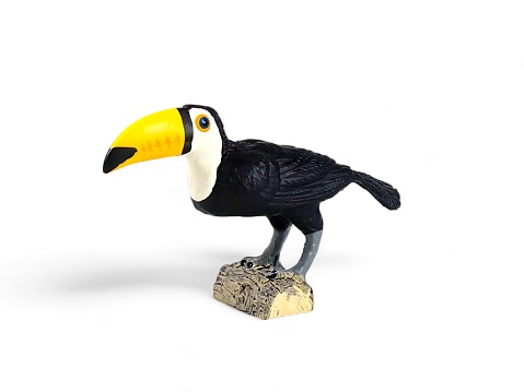Miniature toucan bird animal on a white background