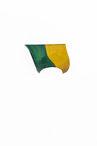 istock Brazil flag flying 1549827541