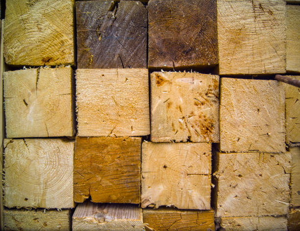 istock raws of sawed timber 1549835428