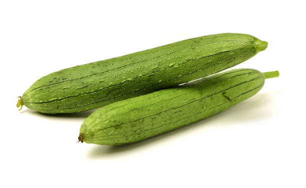 fresh loofah fresh loofah on the white background slate ridge stock pictures, royalty-free photos & images