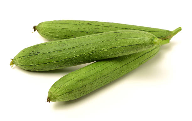fresh loofah fresh loofah on the white background slate ridge stock pictures, royalty-free photos & images