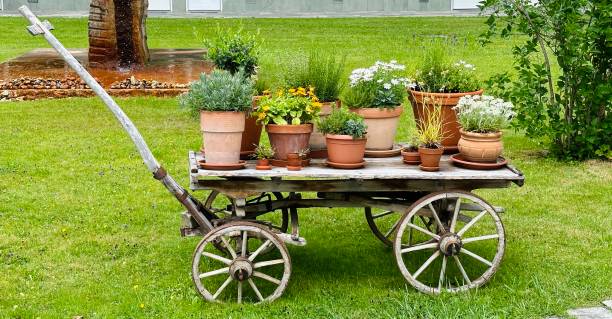 Cart with flowers and planters standing on a meadow
