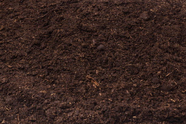 istock Soil for plant isolated on white background. 1549965066
