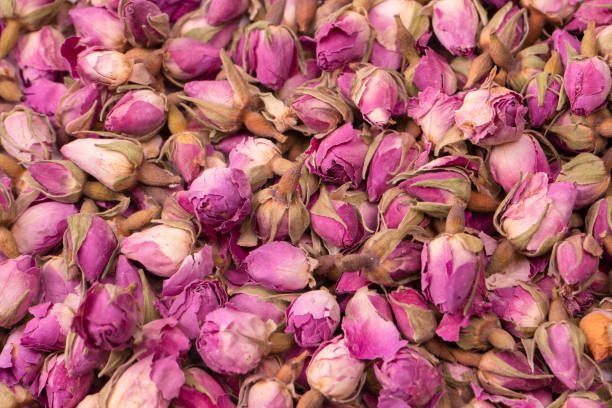 istock Dry tea roses isolated on white background. 1549965454