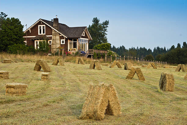 Hay bales in front of an abandoned old farmhouse, in rural Nova Scotia.