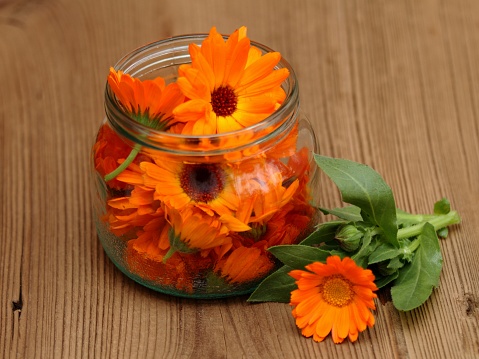 Homemade preparation of organic medicinal  oil from fresh marigold flowers.