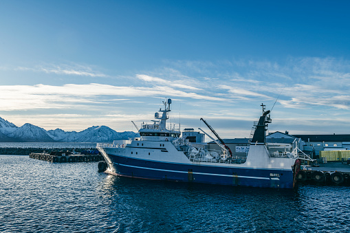 Fishing trawler moored in Melbu port in Northern Norway during a beautiful cold winter day. The Vesttind is a whitefish fishing trawler.