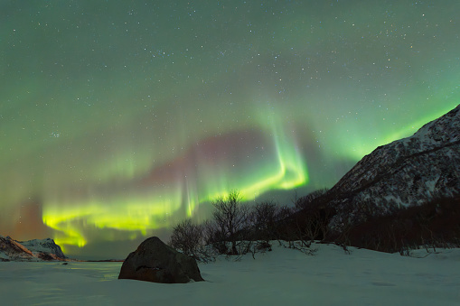Aurora Borealis, Norther Lights or Polar Light in the dark night sky over the Lofoten archipelago in Northern Norway during a cold winter night.