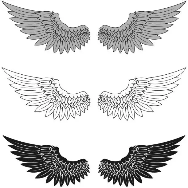 Vector illustration of Angel wings vector design