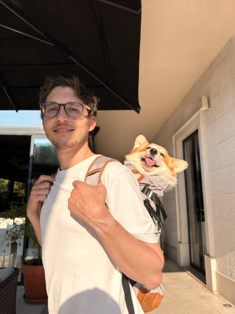 istock Man travelling with funny corgi in a backpack. Vacation with a pet 1549995186