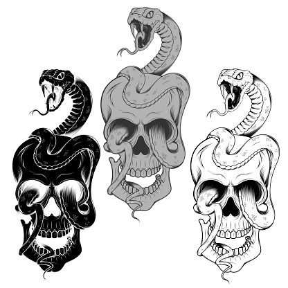 Vector design of snake wrapping a skull in black and white