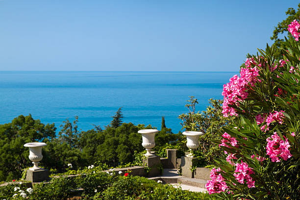 Park near the Vorontsov Palace Beautiful views of the park near the Vorontsov Palace, Alupka, Crimea, Ukraine vorontsov palace stock pictures, royalty-free photos & images