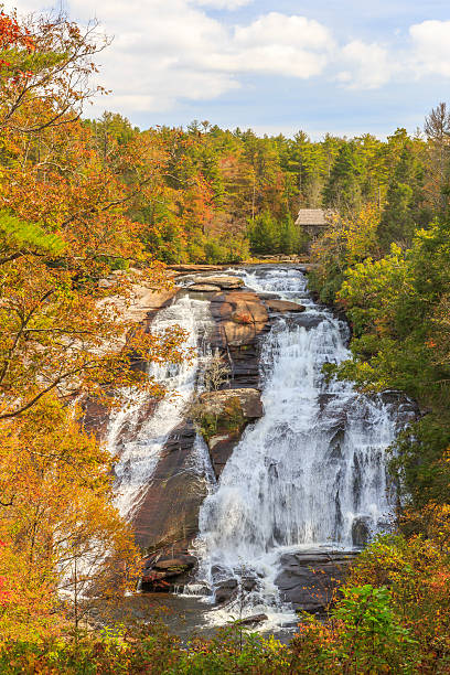 high falls en automne - dupont state forest photos et images de collection
